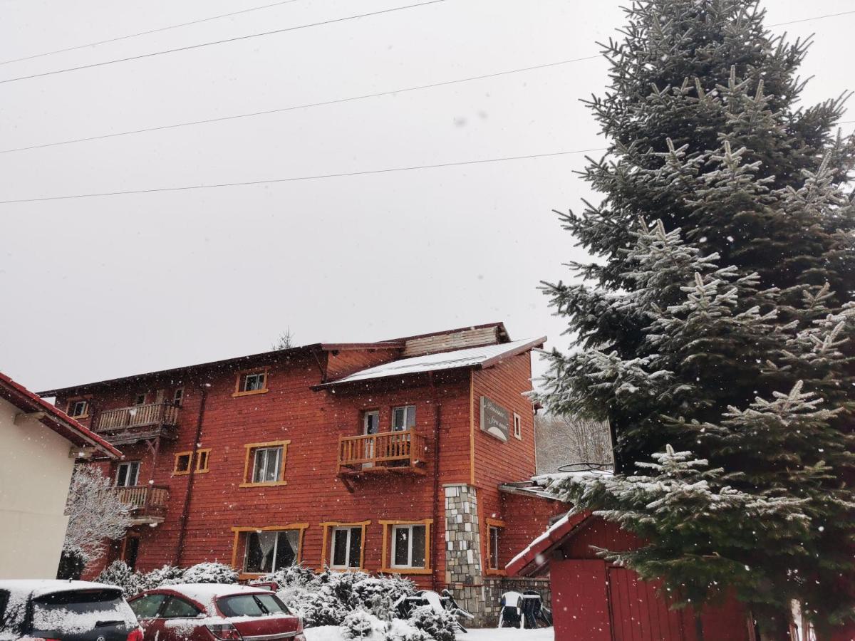 Pensiunea Fara Nume Buşteni Exterior foto