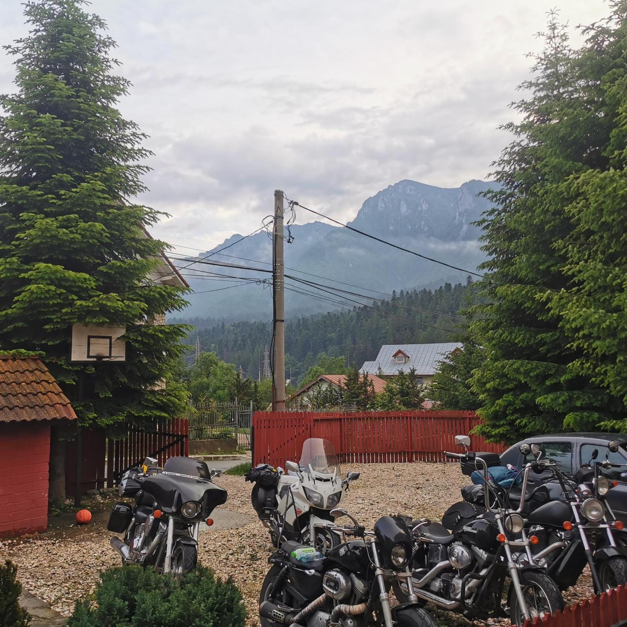 Pensiunea Fara Nume Buşteni Exterior foto
